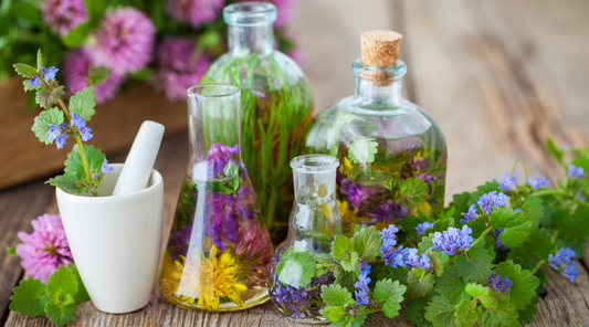 Assortment of essential and carrier oils with natural elements for aromatherapy