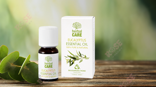 Eucalyptus Essential Oil: Your Comprehensive Guide to Natural Remedies and Aromatherapy